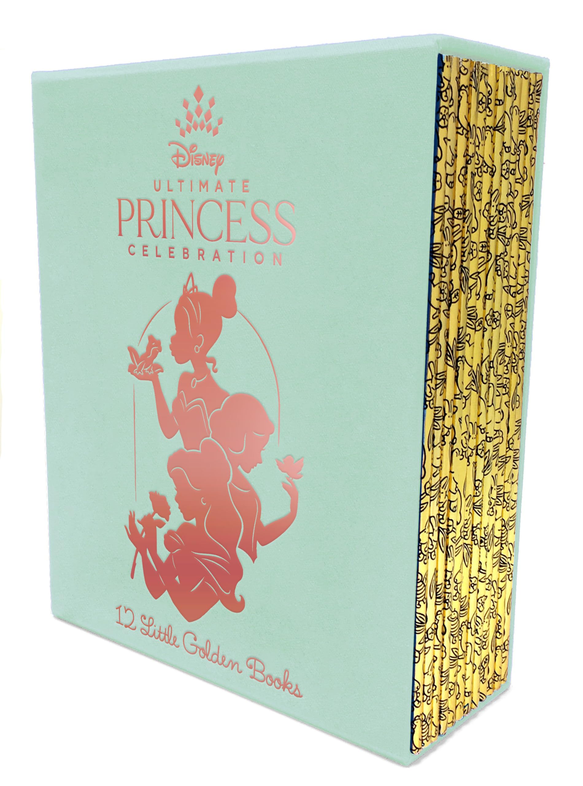 Ultimate Princess Boxed Set of 12 Little Golden Books (Disne