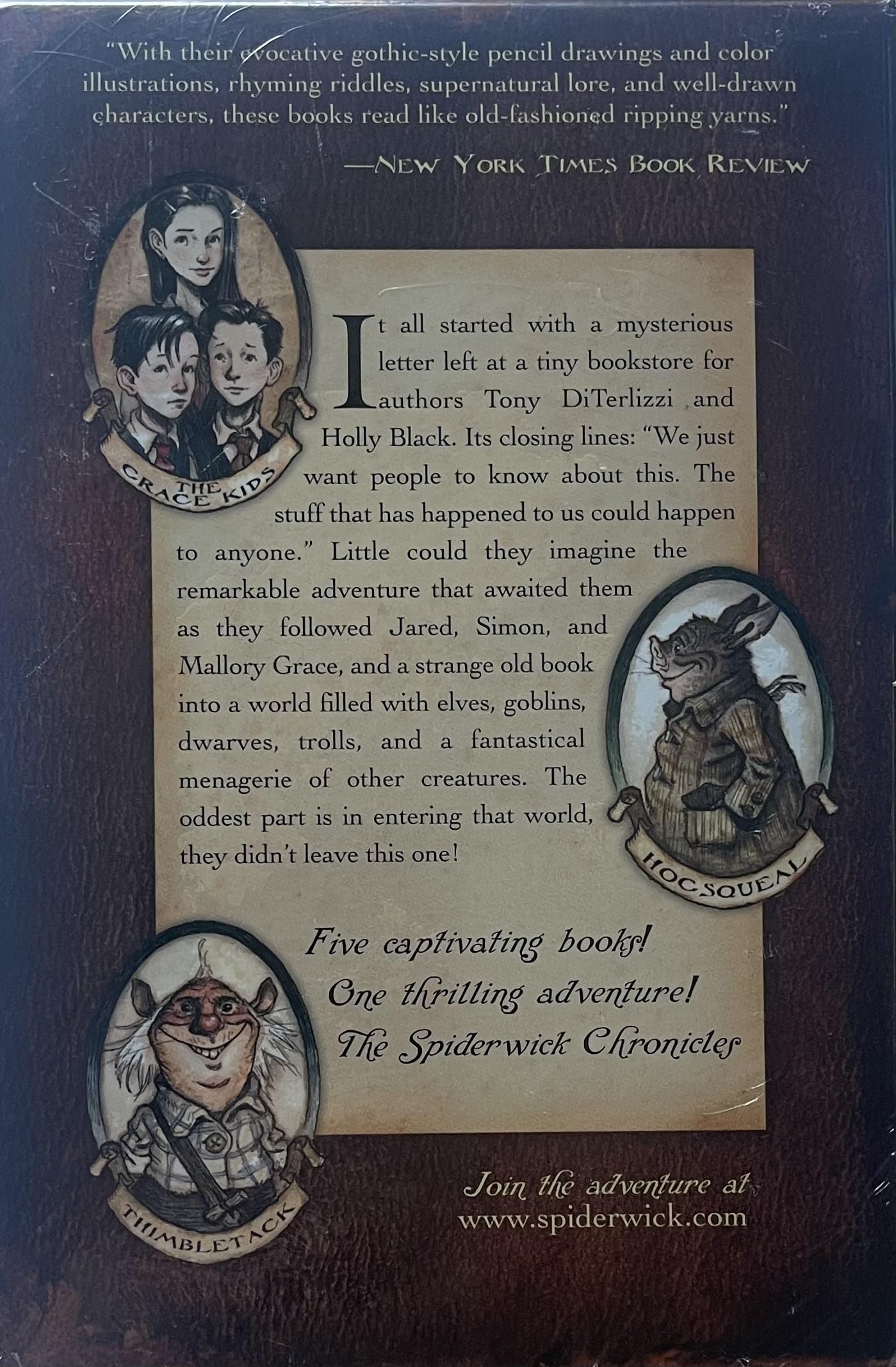 The Spiderwick Chronicles (Boxed Set): The Field Guide; The