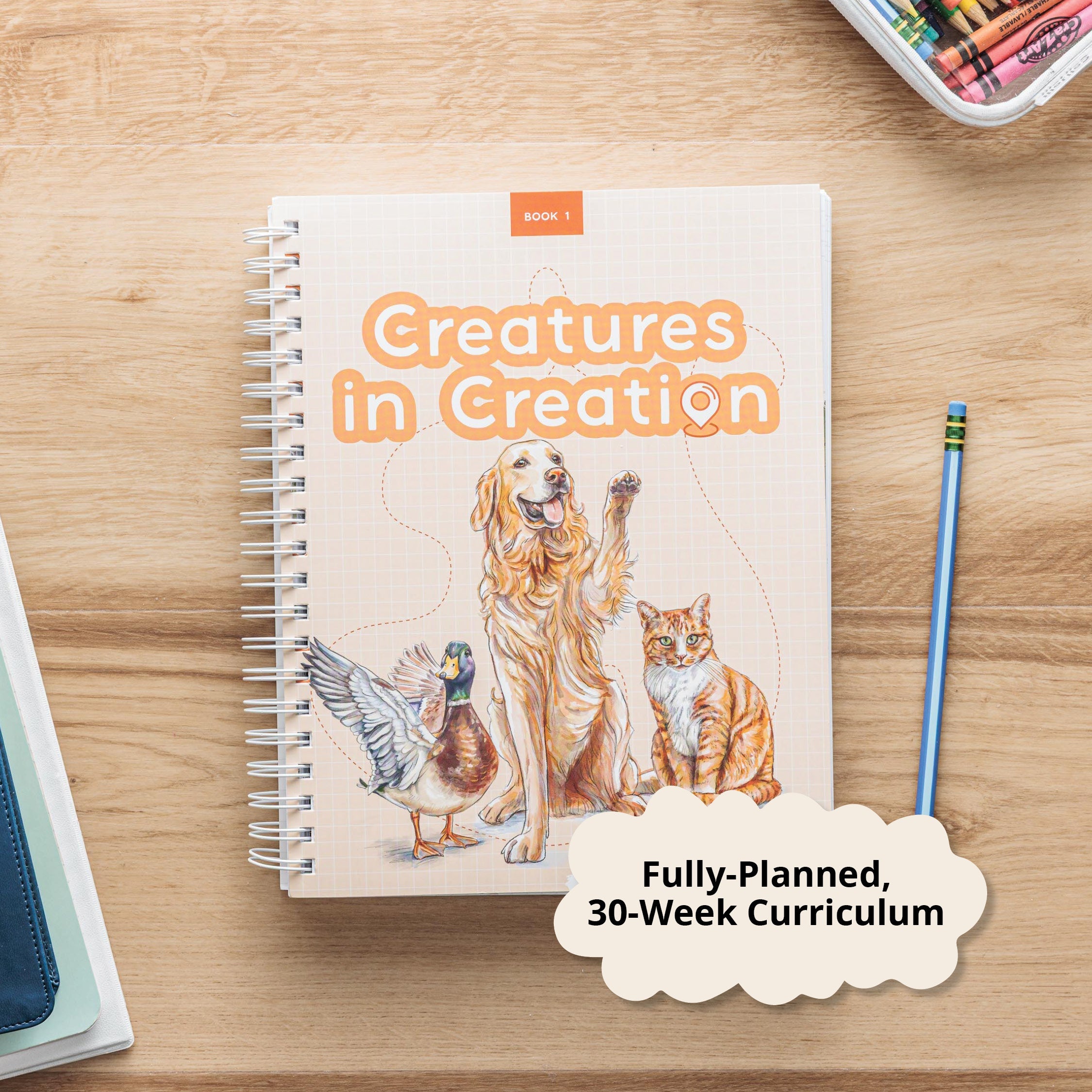 Creatures in Creation- 1st Grade Curriculum Kit by Not Consumed