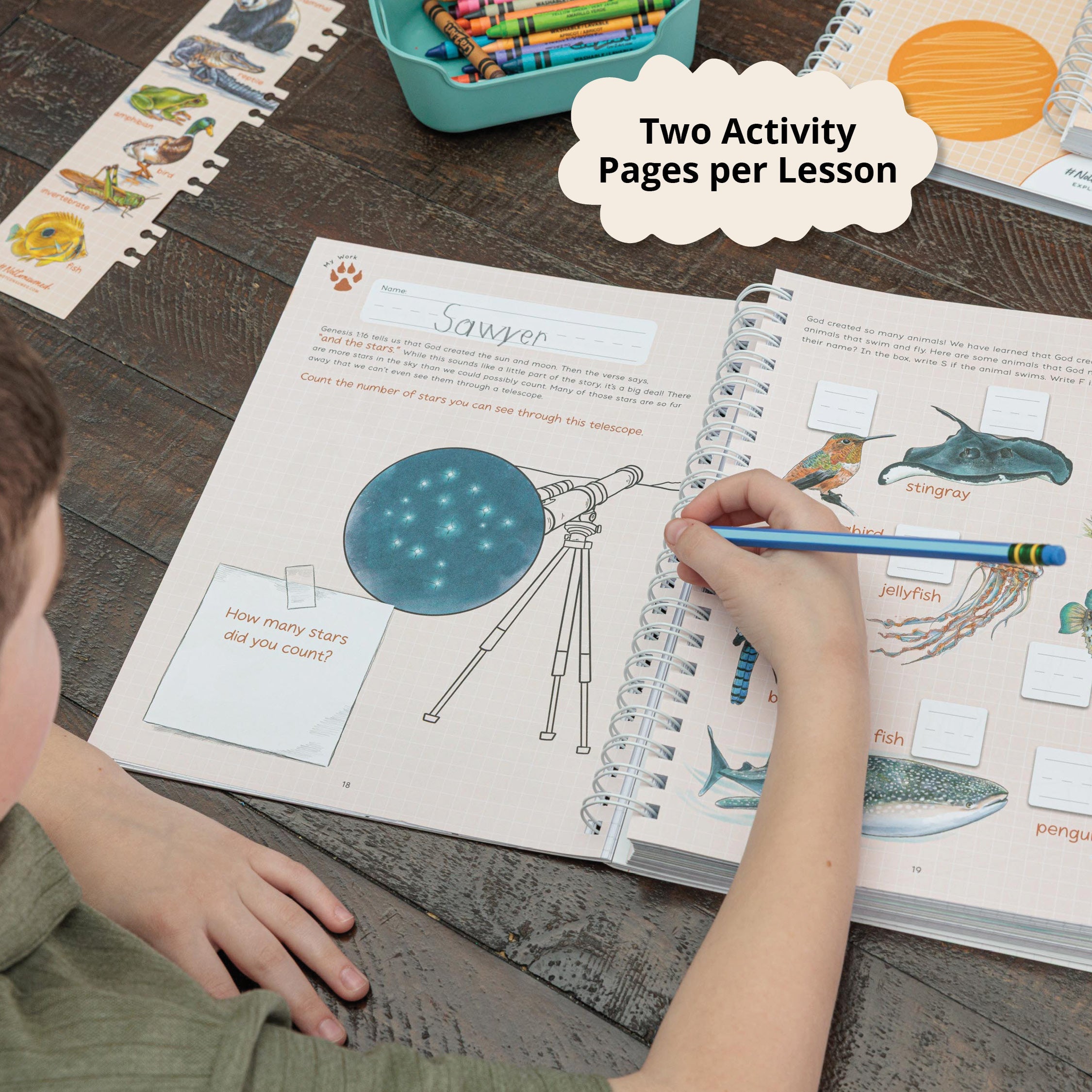 Creatures in Creation- 1st Grade Curriculum Kit by Not Consumed