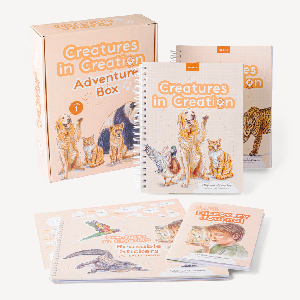 Creatures in Creation- 1st Grade Curriculum Kit by Not Consumed