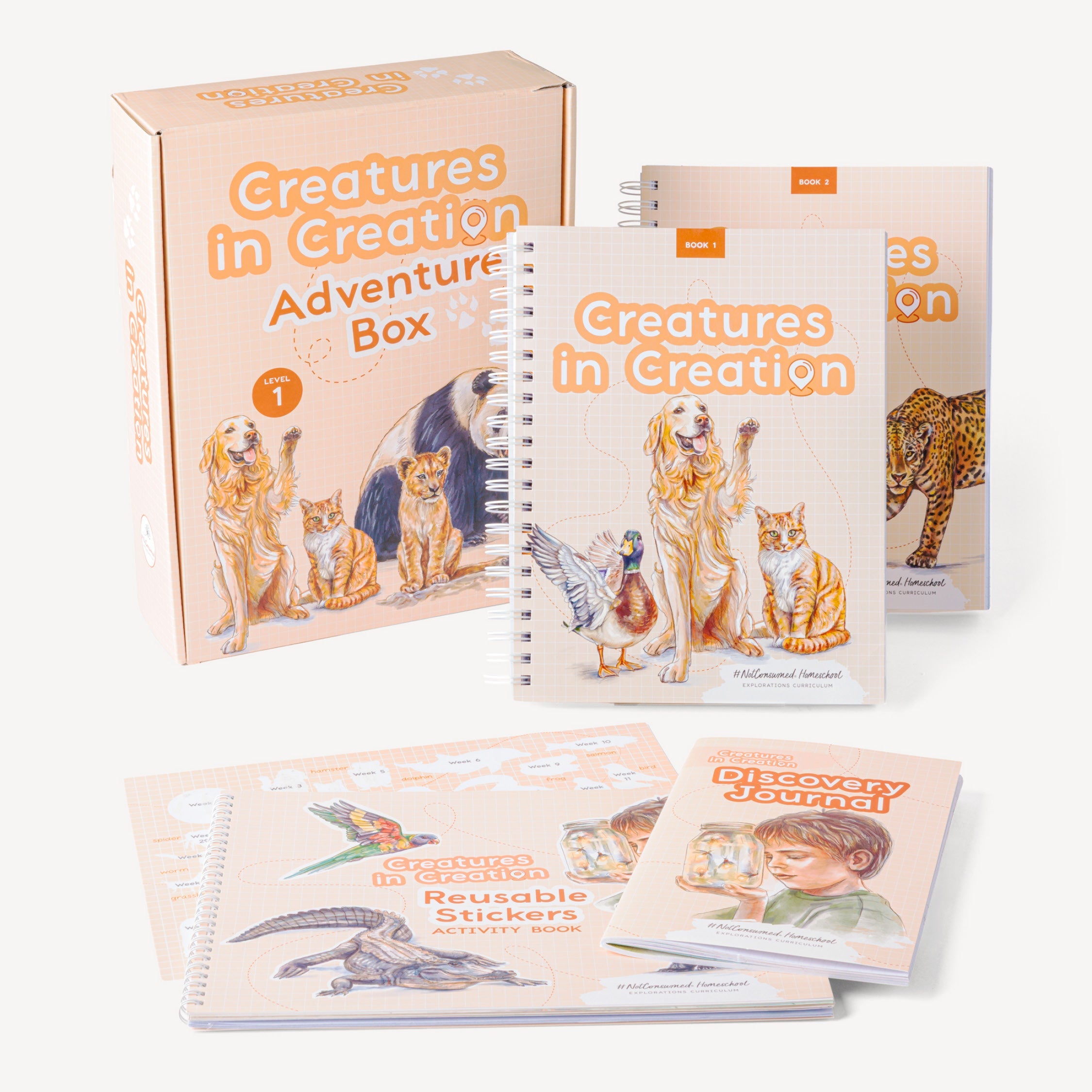 Creatures in Creation- 1st Grade Curriculum Kit by Not Consumed